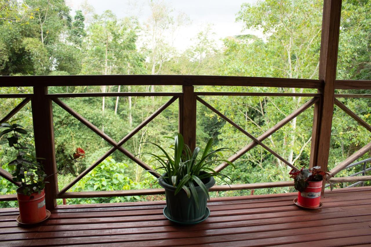 Eden Valley Ecolodge&Farming Madalena Exterior foto