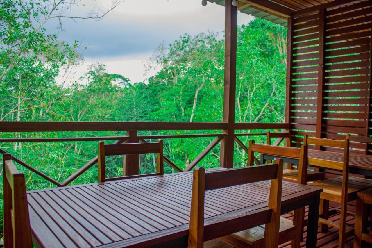 Eden Valley Ecolodge&Farming Madalena Exterior foto
