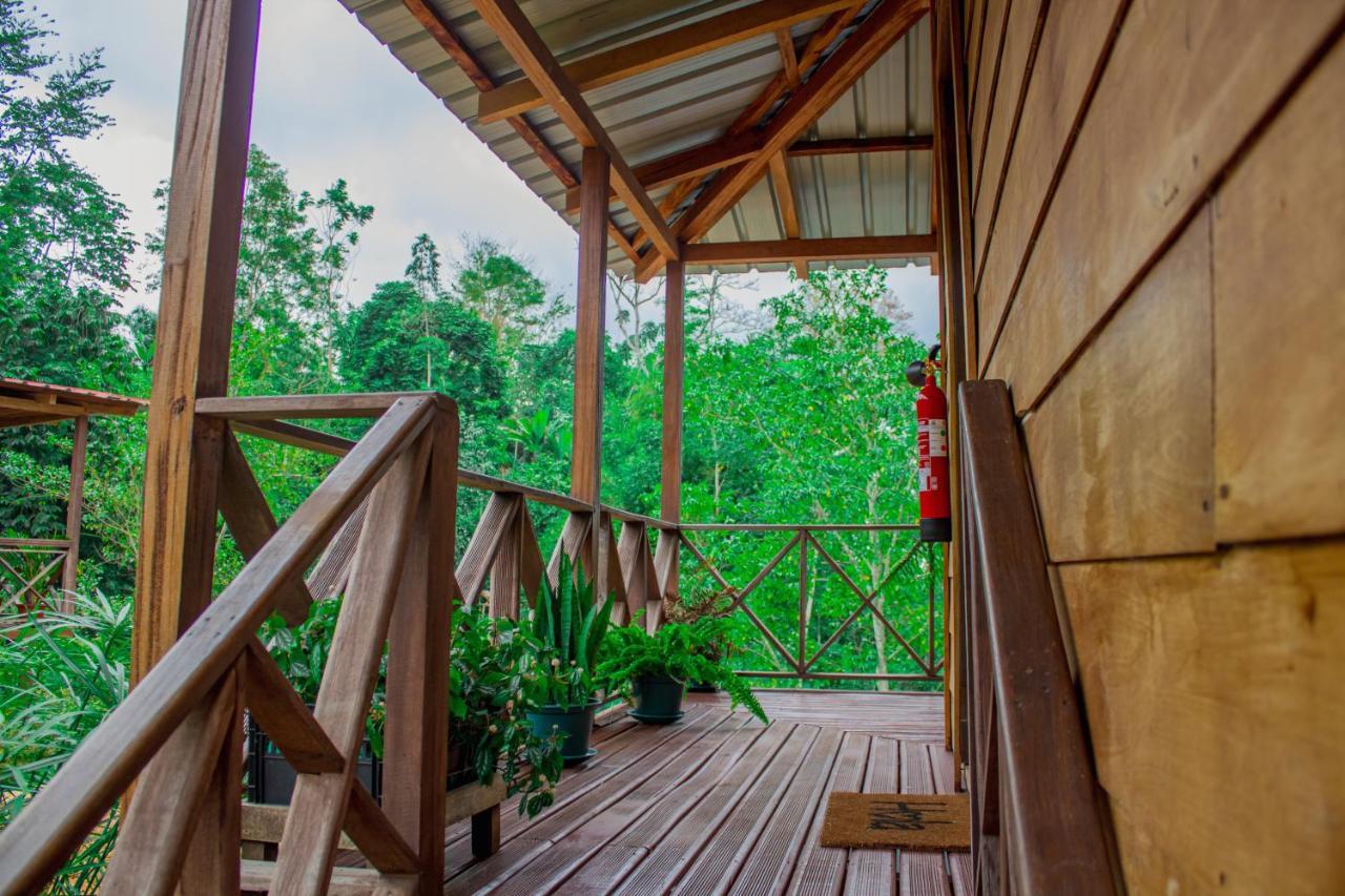 Eden Valley Ecolodge&Farming Madalena Exterior foto